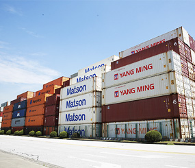 泰鸿玩具出口海运服务操作便捷可靠，价格收费透明